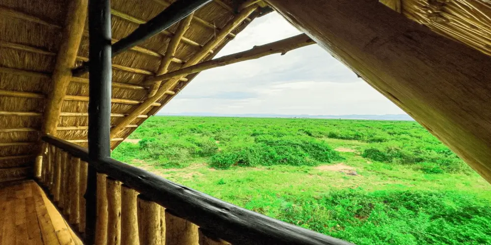 Single Room View